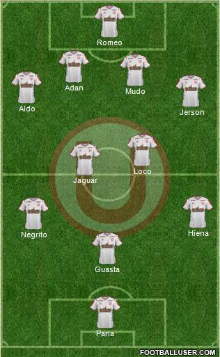 C Universitario D Formation 2017