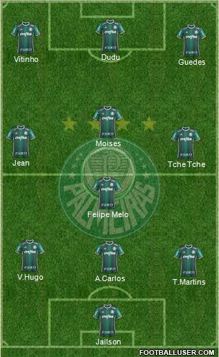 SE Palmeiras Formation 2017