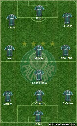 SE Palmeiras Formation 2017