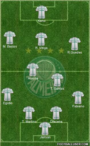 SE Palmeiras Formation 2017