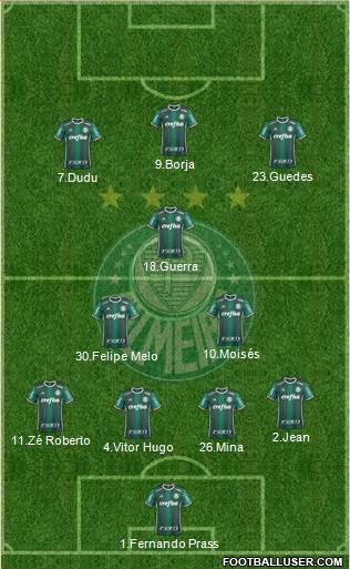 SE Palmeiras Formation 2017