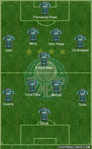 SE Palmeiras Formation 2017