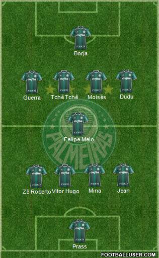 SE Palmeiras Formation 2017