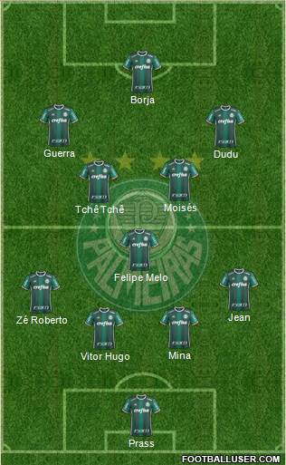 SE Palmeiras Formation 2017