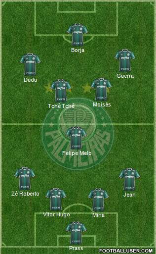 SE Palmeiras Formation 2017