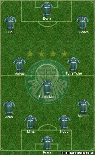 SE Palmeiras Formation 2017