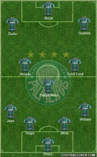 SE Palmeiras Formation 2017