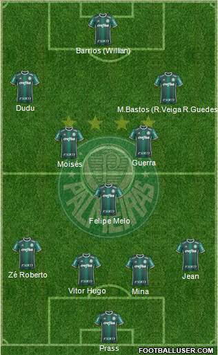 SE Palmeiras Formation 2017