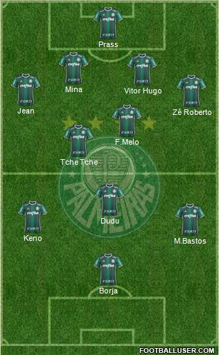 SE Palmeiras Formation 2017