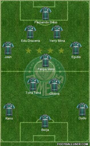 SE Palmeiras Formation 2017