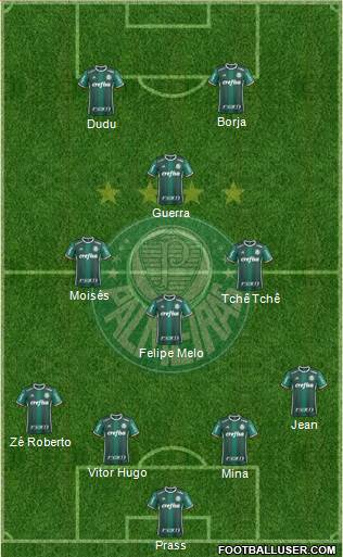 SE Palmeiras Formation 2017