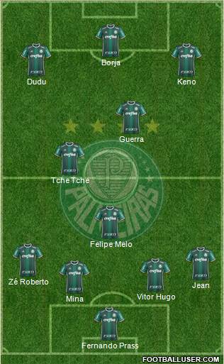 SE Palmeiras Formation 2017