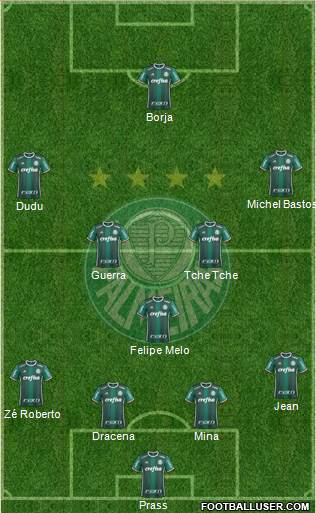 SE Palmeiras Formation 2017