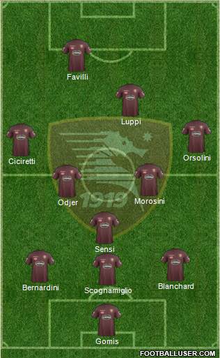 Salernitana Formation 2017