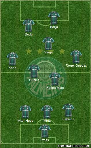 SE Palmeiras Formation 2017