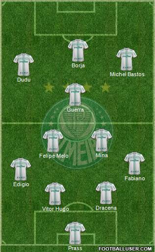 SE Palmeiras Formation 2017