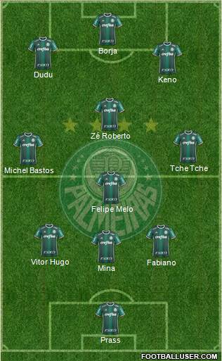 SE Palmeiras Formation 2017