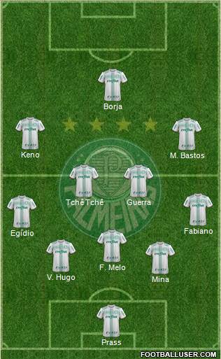 SE Palmeiras Formation 2017