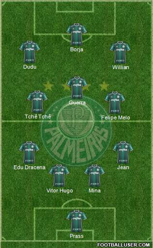 SE Palmeiras Formation 2017