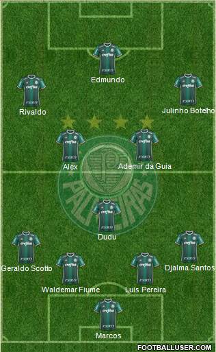 SE Palmeiras Formation 2017