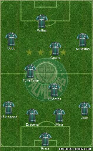 SE Palmeiras Formation 2017