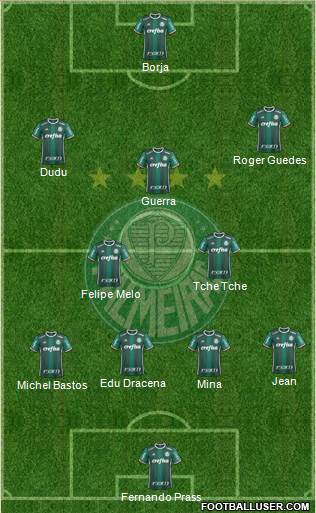 SE Palmeiras Formation 2017