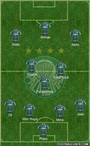 SE Palmeiras Formation 2017