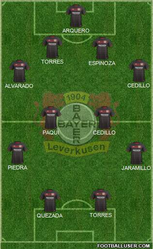 Bayer 04 Leverkusen Formation 2017