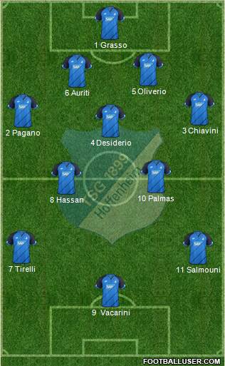 TSG 1899 Hoffenheim Formation 2017