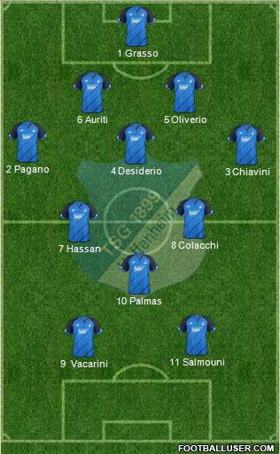 TSG 1899 Hoffenheim Formation 2017