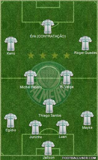 SE Palmeiras Formation 2017