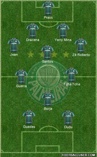 SE Palmeiras Formation 2017