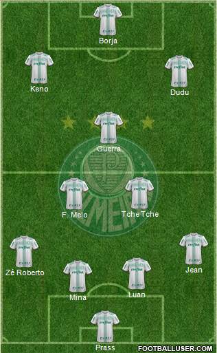 SE Palmeiras Formation 2017