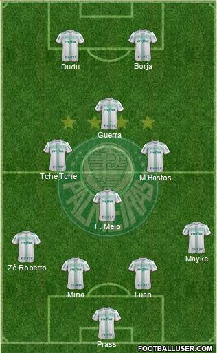 SE Palmeiras Formation 2017