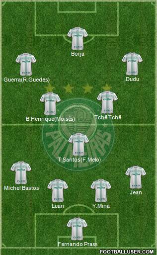 SE Palmeiras Formation 2017