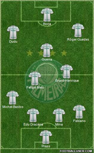 SE Palmeiras Formation 2017