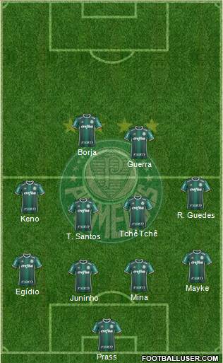 SE Palmeiras Formation 2017