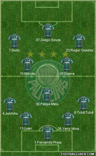 SE Palmeiras Formation 2017