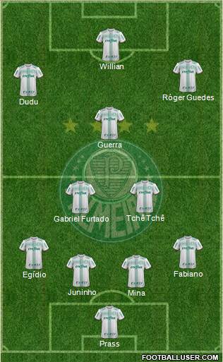 SE Palmeiras Formation 2017