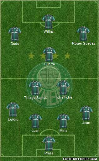 SE Palmeiras Formation 2017