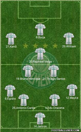 SE Palmeiras Formation 2017