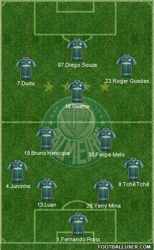 SE Palmeiras Formation 2017