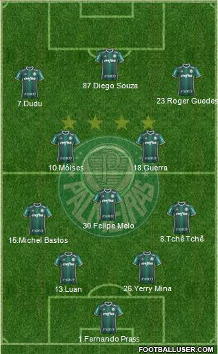 SE Palmeiras Formation 2017