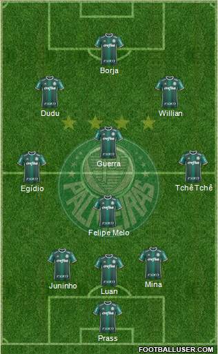 SE Palmeiras Formation 2017