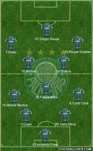 SE Palmeiras Formation 2017