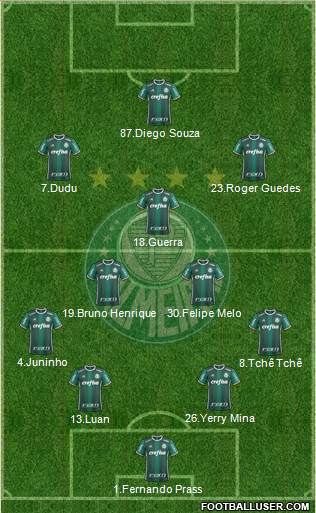 SE Palmeiras Formation 2017