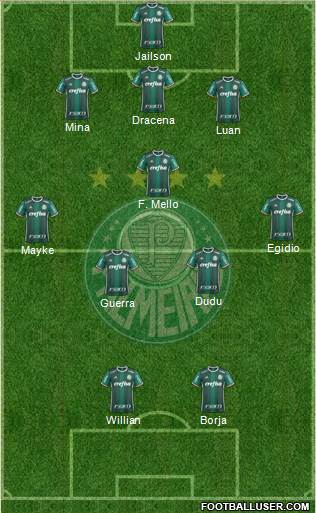 SE Palmeiras Formation 2017