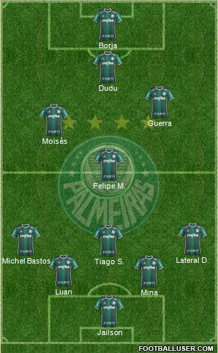 SE Palmeiras Formation 2017