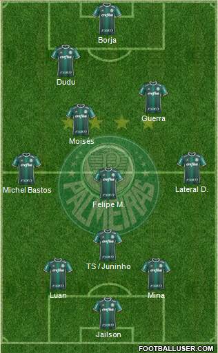 SE Palmeiras Formation 2017