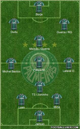 SE Palmeiras Formation 2017